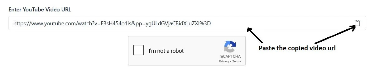 how to use youtube tag extractor step2